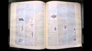 Agoraphile  Dictionnaire français audio [upl. by Bamby]