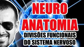 Divisões funcionais do Sistema Nervoso Somático Visceral Aferente e Eferente  VideoAula 071 [upl. by Platon]