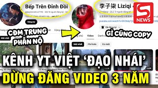 Netizen xứ Trung tố Youtuber Việt bắt chước Lý Tử Thất cả việc quotngừng đăng video trong 3 nămquot [upl. by Ahsiekyt609]