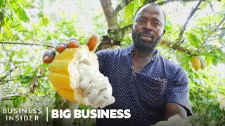 Ghana Grows Our Cocoa So Why Can’t It Make Chocolate  Big Business [upl. by Eads]