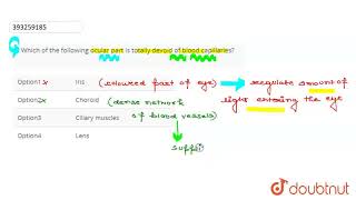 Which of the following ocular part is totally devoid of blood capillaries  CLASS 12  NEURAL C [upl. by Bennir]