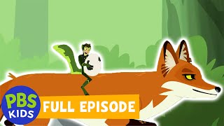 Wild Kratts  Outfoxed  PBS KIDS [upl. by Bierman]