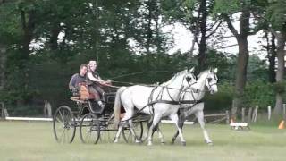 20110611 Fahrtraining auf dem Fohlenhof Anja mit Furie und FlorentineDesktopm4v [upl. by Eletnahs]