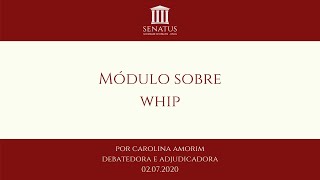 Módulo sobre Whip  Carolina Amorim [upl. by Luigino588]