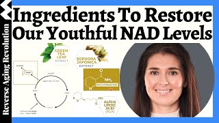 The FULL Ingredient List To RESTORE Our Youthful NAD Levels  NAD Scientist Dr Nichola Conlon [upl. by Hulen]