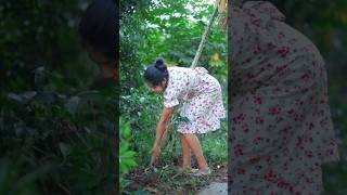 Homemade Crispy Fried Cassava Chips 🥔 From Garden to Plate මඤ්ඤොක්කා බයිට් shorts [upl. by Nirrep]