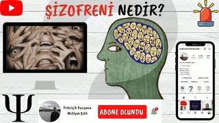 Şizofreni Nedir Şizofreninin çeşitleri nedir Sanrı nedir Halisünasyon nedir [upl. by Rolo283]