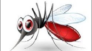 കൊതുകിനെ കൊല്ലണ്ട രീതി mosquito how to kill mosquito [upl. by Anaujal]