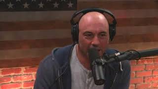 Joe Rogan Talks to CT Fletcher About Steroids [upl. by Kiele]