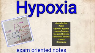 Hypoxia types causes treatment physiology [upl. by Nesnej]