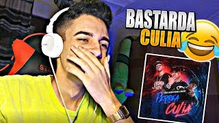 Perrea BASTARDA CULIA Remix 😂 REACCIÓN Benny Benni Ft Endo y JMaury  Perrea Culia [upl. by Mandy762]