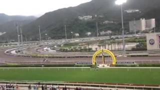 沙田賽馬日 Shatin Horse Racing [upl. by Gautier834]