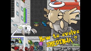 Padventures  How to evolved Nincada to Shedinja [upl. by Sualokin]