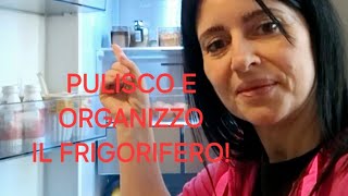 Come pulire e organizzare il frigorifero [upl. by Sophi741]