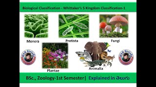 Biological Classification  Whittaker’s 5 Kingdom Classification1 BSc Zoology1st Semester [upl. by Astra]