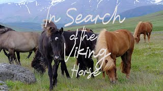 Official Trailer In Search of The Viking Horse [upl. by Sherard706]