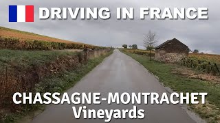 DRIVING in FRANCE  Vineyards ChassagneMontrachet Puligny [upl. by Ayoral163]