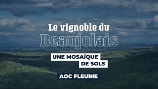 Fleurie cru du Beaujolais  Le vignoble du Beaujolais une mosaïque de sols [upl. by Retsim458]