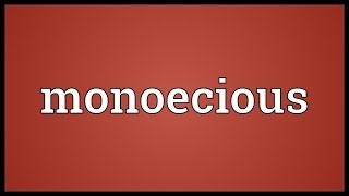 Monoecious Meaning [upl. by Adilen746]