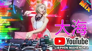 Dj Remix Mandarin 2019  大海 Da Hai  Chinese Music Terbaru 2019 [upl. by Oesile]