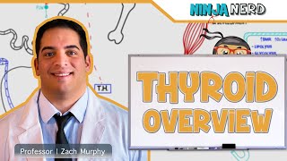 Endocrinology  Thyroid Overview [upl. by Service]