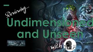 Undimensioned and Unseen Scenario Review [upl. by Coppins]