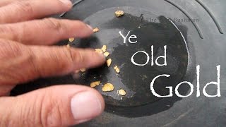 Gold panning New Zealand  fossicking for nuggets [upl. by Louise]