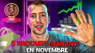 Top 5 produits GAGNANTS à vendre en Novembre 2024 en Dropshipping [upl. by Kenlee]