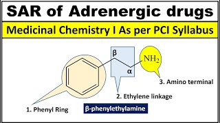 SAR of Adrenergic Drugs SAR of Sympathomimetic Drugs [upl. by Thinia288]