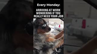 Every Monday Do I Really Need This Job [upl. by Somerville]