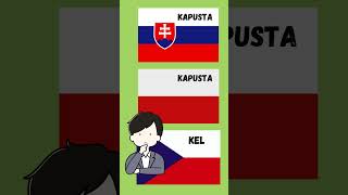 KAPUSTA 🥬 slavicbrotherhood slavicculture slaviclanguages polish viralshort funnyfacts fyp [upl. by Arretahs]