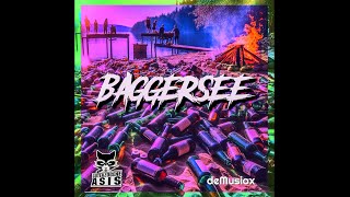 deMusiax x Guterzogene Asis  Baggersee Lyrics Video [upl. by Zielsdorf]