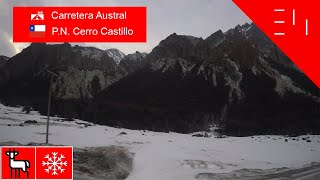 🦌 Huemules y ❄️ Nieve  CarreteraAustral  🇨🇱 Parque Nacional Cerro Castillo [upl. by Lexis]