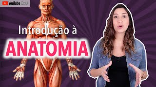 Introdução à Anatomia posição anatômica e termos de relação  Anatomia etc [upl. by Alleirbag897]