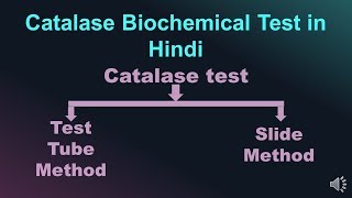 Catalase Biochemical Test in Hindi  Microbiology with Sumi [upl. by Alvin]