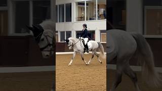 🥈Our first Novice Dressage test [upl. by Llerrom]