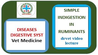 Simple indigestion in ruminants [upl. by Irianat]