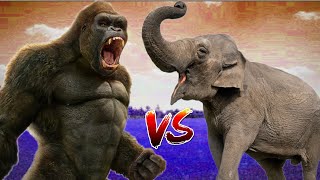 King Kong vs Elephant Fight With SHINCHAN vs CHOP Epic Battle [upl. by Yatnod424]