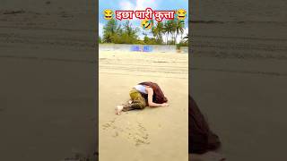 😱Ichchadhari 🔥🤣 nagin Bani ichchadhari kutta 🔥😱viralshorttrendingsong naginkutaviralsubscribe [upl. by Wesla]