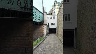 ASMR walk in Graveyard  Headstone Crow cry Cimetière de Montmartre Montmartre Cemetery S624✝️ [upl. by Esinahs926]