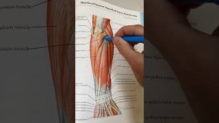 How to Get Rid of Tennis Elbow [upl. by Peedsaj827]