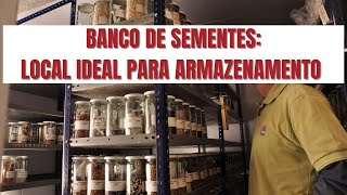 Um Pouco Sobre Banco de Sementes [upl. by Darnall]