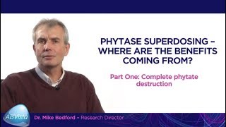 Superdosing – where are the benefits coming from Part one complete phytate destruction [upl. by Brynna124]