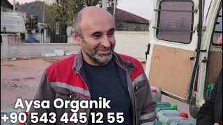 15 Kasım 2024 Fındık üretiminde var yılı yok yılı ortadan kalktı 0543 445 12 55 Aysa organik [upl. by Atalanti]