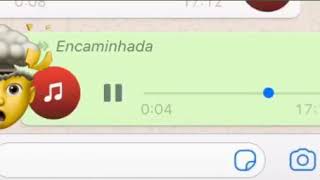 Amanhã já é sextafeira de novo áudio whatsapp [upl. by Anelehs]