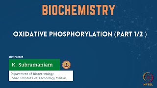 Oxidative Phosphorylation Part 12 [upl. by Netsew]