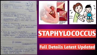 Staphylococcus  Staphylococcus aureus [upl. by Three893]