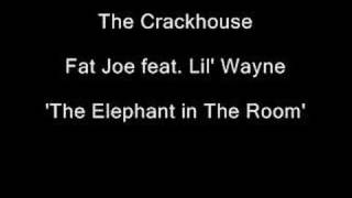 Fat Joe  The Crackhouse  The Elephant In The Room  Featuring Lil Wayne [upl. by Chloras]