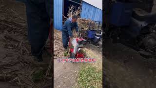 Gasoline engine diesel engine electric motor grass cutter branch crusher [upl. by Airtemad]