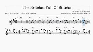 The Britches Full Of Stitches – Traditional Celtic Polka – Play Along for Violin Flute or Guitar [upl. by Aratak]